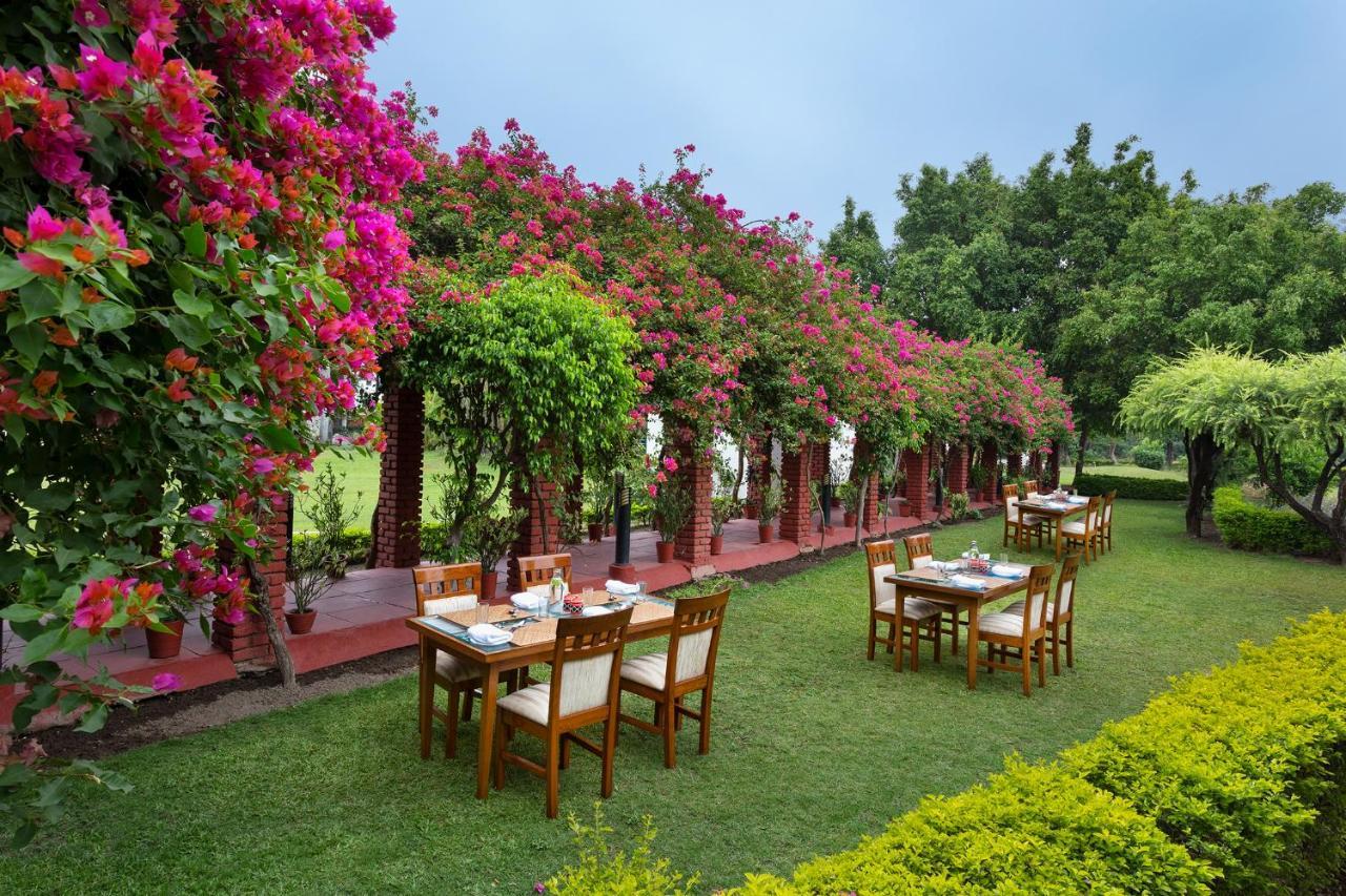Naturoville Wellness Resort Rishikesh - Surrounded By Nature, Rooted In Wellness Doiwala Luaran gambar